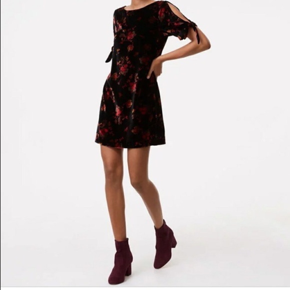 LOFT velvet dress. EUC